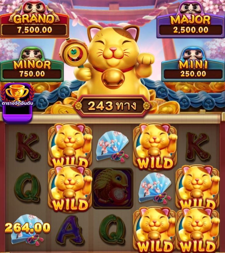 casoo casino game